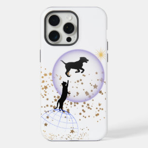 El gato curioso y el perro que corre