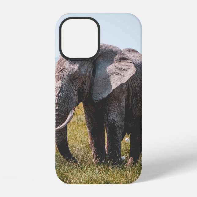 FUNDA PARA iPhone ELEFANTE ENCANTADOR (Reverso )