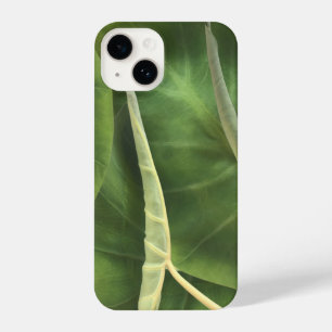Funda Para iPhone 14 Elephant Ear Leaf   Hojas verdes tropicales