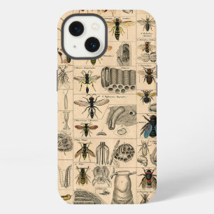 Entomología Antigua Abejas Avispas Historia Natura