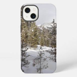 Escena invernal de montaña nevada en Montana