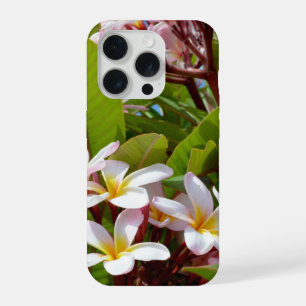 Esplendor Rosa, Flores de Frangipani Rosado en un 