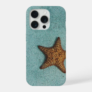Estrella de Mar de Playa Tropical