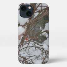 Estuche de teléfono