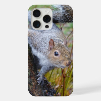 Estuche de teléfono de ardilla