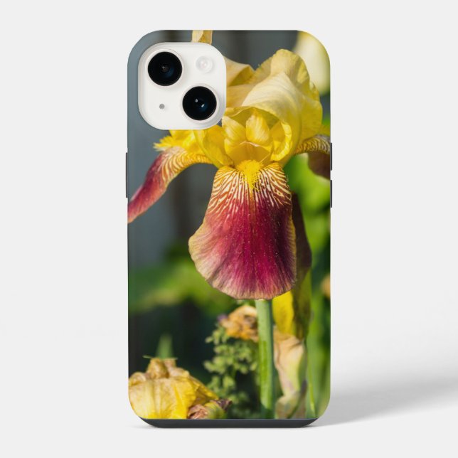 Funda Para iPhone Estuche Heirloom Iris iPhone (Reverso )