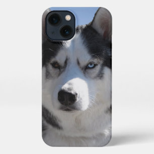 Estuche Husky iPhone Personalizado Husky Malamute 
