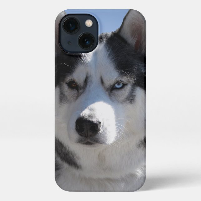 Funda Para iPhone Estuche Husky iPhone Personalizado Husky Malamute  (Reverso )