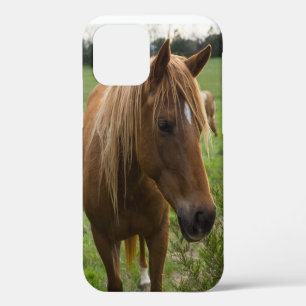 Funda Para iPhone 12 Estuche para iPhone de Horse Hello