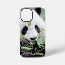 Estuche para iPhone Panda gigante de la foto , ani