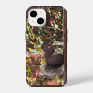 Funda Para iPhone 14 Estuche para iPhone Squirrel Chow Time