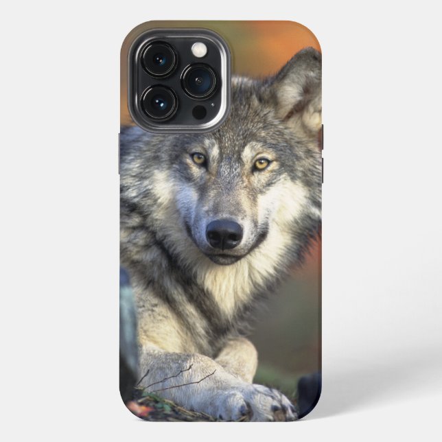 Funda Para iPhone Estuche Wolf Wisdom para iPhone / iPad (Reverso )