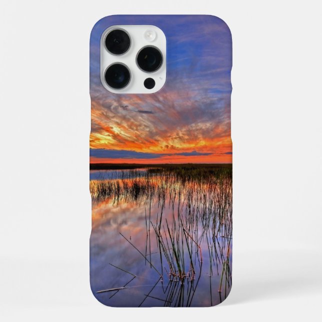 Funda Para iPhone Everglades de Florida (Reverso )