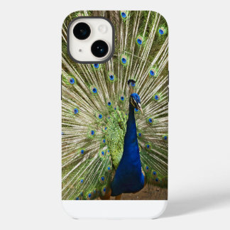 Funda Para iPhone 14 Exhibición de pavo real