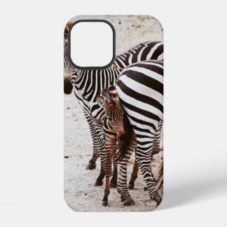 FUNDA PARA iPhone 12 FAMILIA ZEBRA