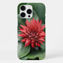 - Fleur rouge tropicale