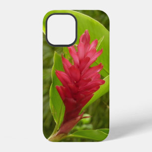 Funda Para iPhone 12 Flor de Jengibre Rojo (Alpinia) Tropical
