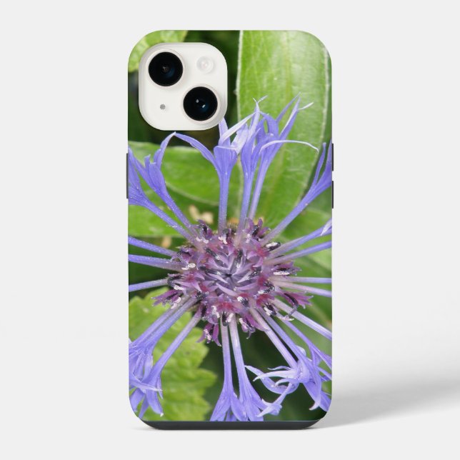 Funda Para iPhone Flor de maíz azul (Reverso )