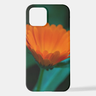Funda Para iPhone 12 flor de margarita naranja