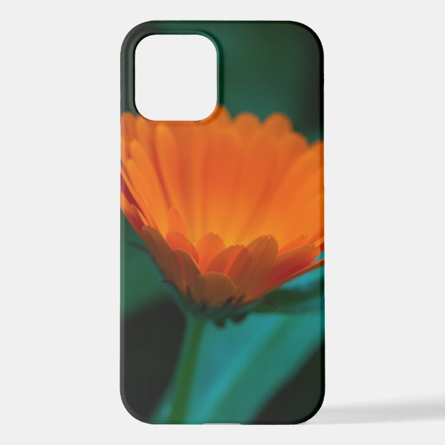 Funda Para iPhone flor de margarita naranja (Reverso )