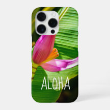 Flor de plátano, Jardines Limahuli, Kauai, Hawaii 