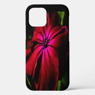 Funda Para iPhone 12 Flor Silvestre Morada iphcna