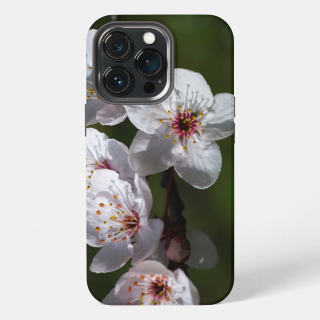 Funda Para iPhone Flores de ciruela de primavera para teléfonos (Reverso )