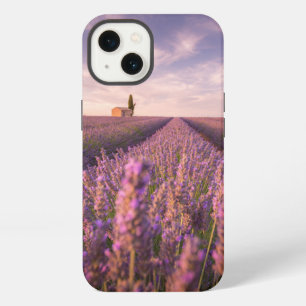 Flores   Lavanda Sur de Francia