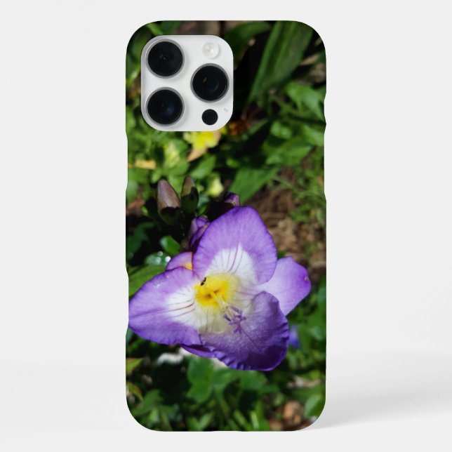Funda Para iPhone Flores moradas de Freesia (Reverso )