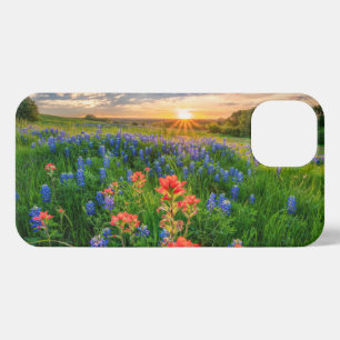 Flores   Texas Bluebonnets y pincel indio