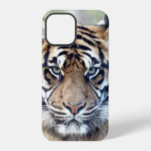Foto , animales , tigre . Funda-Mate iPhon