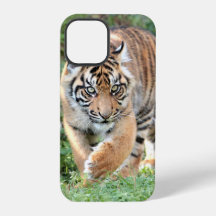 Foto , animales , tigre . Funda-Mate iPhon