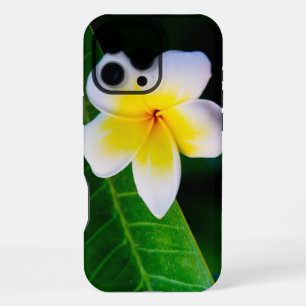 Funda Para iPhone 16 Pro Max Foto Botánica de Frangipani Tropical
