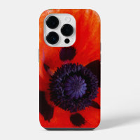 Foto de flor de Naranja de amapola