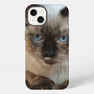 Foto de gato Ragdoll personalizada con nombre