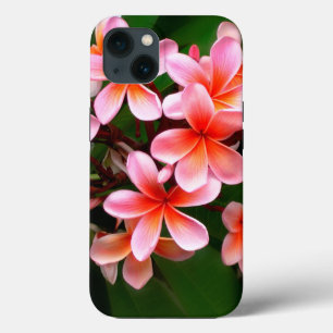 Foto floral de flor de plumeria verde rosa tropica