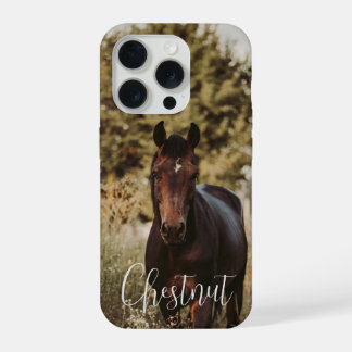 Foto y nombre del caballo