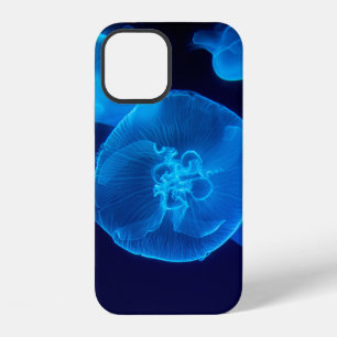 FUNDA PARA iPhone 12 FOTOGRAFÍA CERRADA DE SWARM OF JELLYFISH