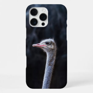 Funda Para iPhone 16 Pro Max Fotografía de avestruz
