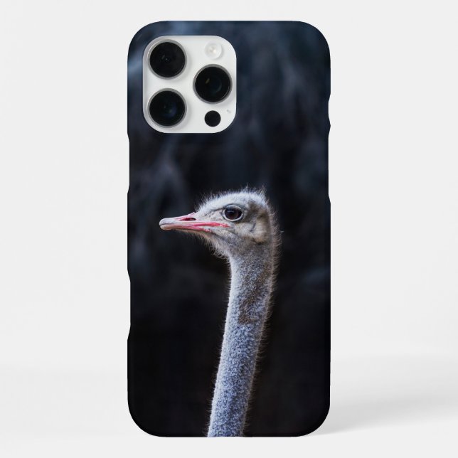 Funda Para iPhone Fotografía de avestruz (Reverso )