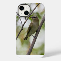 Fotografía de pájaro verde Vireo de ojos rojos