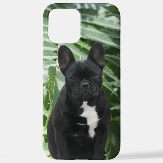 Funda Para iPhone Französische Bulldogge schwarz French Bulldog (Reverso )