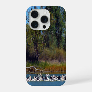 Frenesí de pesca de pelícano, río Murray,