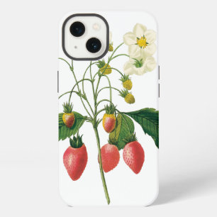 Frutas vintage de bayas fresas por Redoute