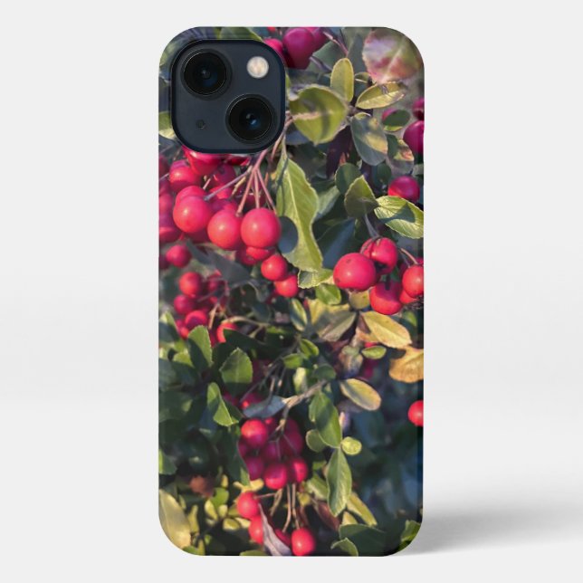 Funda Para iPhone Frutos del otoño (Reverso )