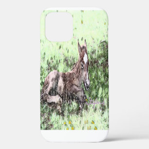 Funda Para iPhone 12 Funda del iPhone 12 de tonalidad