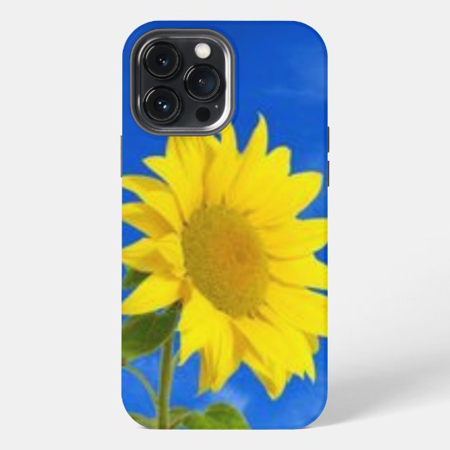 Funda Para iPhone funda iPhone 13 pro max (Reverso )
