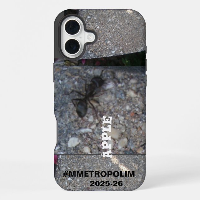 Funda Para iPhone *Funda OTTERBOX *FUNDAS para APPLE IPHONE 16 PLUS (Reverso )