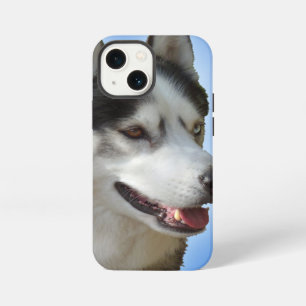 Funda Para iPhone 13 Mini Fundas para iPhone Husky Siberiano Fundas para Sam
