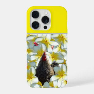 Gallo y frangipanis,